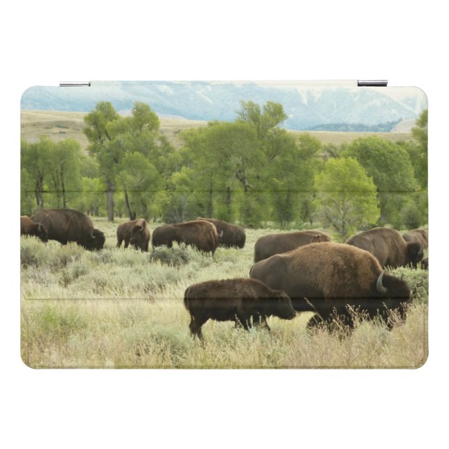 Wyoming Bison Nature Animal Photography iPad Pro Cover (Horizontal)