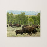 Wyoming Bison Nature Animal Photography Jigsaw Puzzle