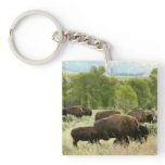 Wyoming Bison Nature Animal Photography Keychain