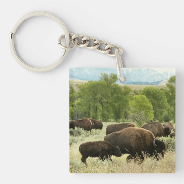 Wyoming Bison Nature Animal Photography Keychain (Front)