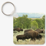 Wyoming Bison Nature Animal Photography Keychain