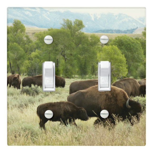Wyoming Bison Nature Animal Photography Light Switch Cover (In Situ)