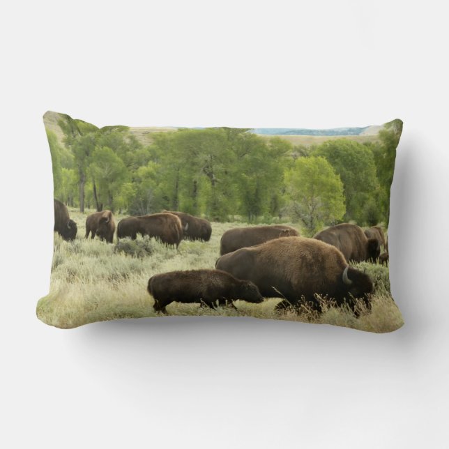 Wyoming Bison Nature Animal Photography Lumbar Pillow (Front)