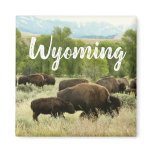 Wyoming Bison Nature Animal Photography Magnet