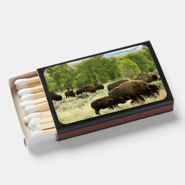 Wyoming Bison Nature Animal Photography Matchboxes (Front Open)