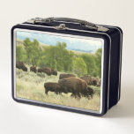 Wyoming Bison Nature Animal Photography Metal Lunch Box