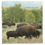 Wyoming Bison Nature Animal Photography Napkin