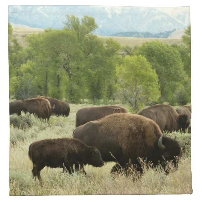 Wyoming Bison Nature Animal Photography Napkin (Front)