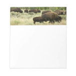 Wyoming Bison Nature Animal Photography Notepad