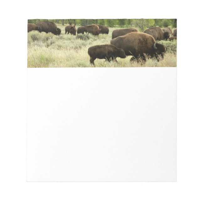 Wyoming Bison Nature Animal Photography Notepad (Front)
