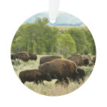 Wyoming Bison Nature Animal Photography Ornament