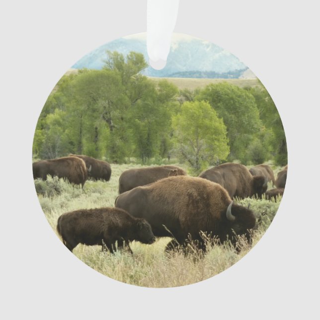 Wyoming Bison Nature Animal Photography Ornament (Front)
