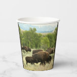 Wyoming Bison Nature Animal Photography Paper Cups