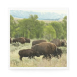 Wyoming Bison Nature Animal Photography Paper Napkins