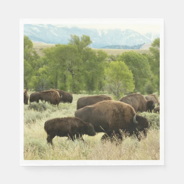 Wyoming Bison Nature Animal Photography Paper Napkins (Front)