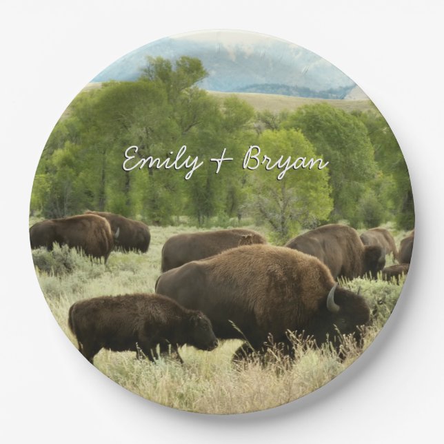 Wyoming Bison Nature Animal Photography Paper Plates (Front)