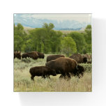 Wyoming Bison Nature Animal Photography Paperweight