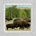 Wyoming Bison Nature Animal Photography Patch