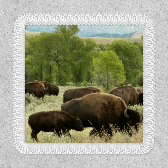 Wyoming Bison Nature Animal Photography Patch (Front)