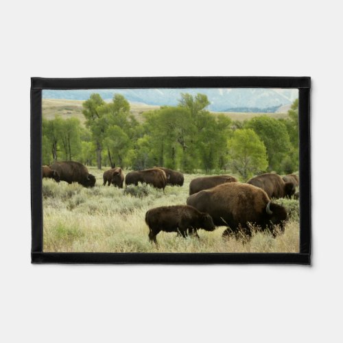Wyoming Bison Nature Animal Photography Pennant