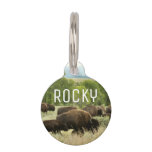 Wyoming Bison Nature Animal Photography Pet ID Tag