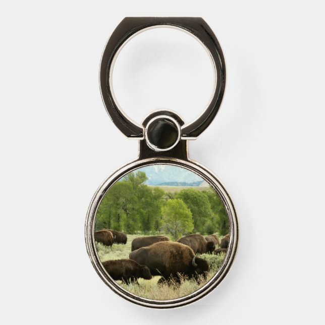 Wyoming Bison Nature Animal Photography Phone Ring Stand (Front)