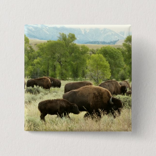 Wyoming Bison Nature Animal Photography Pinback Button (Front)