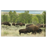 Wyoming Bison Nature Animal Photography Place Card Holder