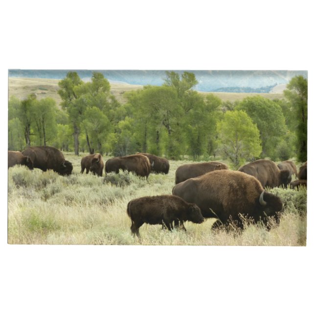 Wyoming Bison Nature Animal Photography Place Card Holder (Front)