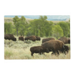 Wyoming Bison Nature Animal Photography Placemat