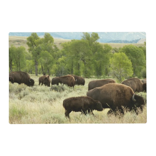 Wyoming Bison Nature Animal Photography Placemat (Front)