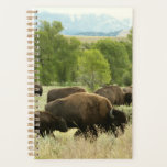 Wyoming Bison Nature Animal Photography Planner