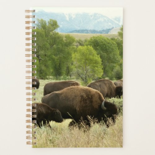 Wyoming Bison Nature Animal Photography Planner