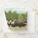Wyoming Bison Nature Animal Photography Pocket Folder