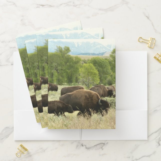 Wyoming Bison Nature Animal Photography Pocket Folder (In Situ)