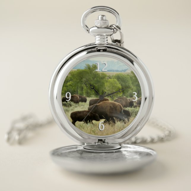 Wyoming Bison Nature Animal Photography Pocket Watch (Inside)