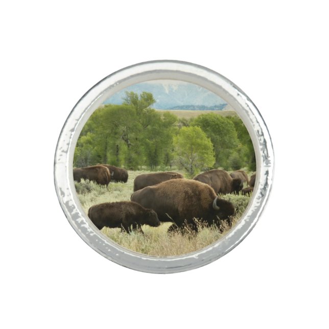 Wyoming Bison Nature Animal Photography Ring (Front)