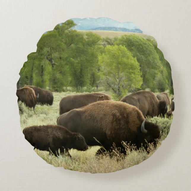 Wyoming Bison Nature Animal Photography Round Pillow (Front)