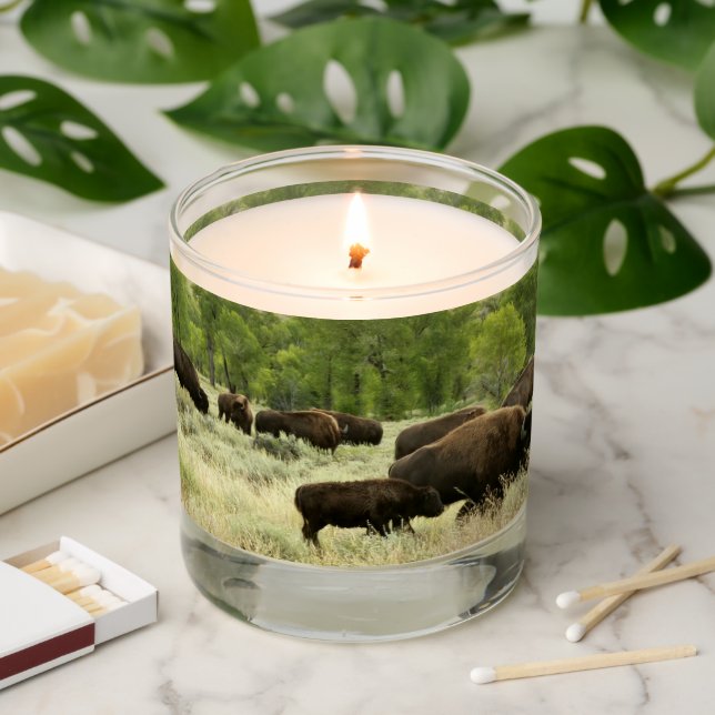 Wyoming Bison Nature Animal Photography Scented Candle (Lit)