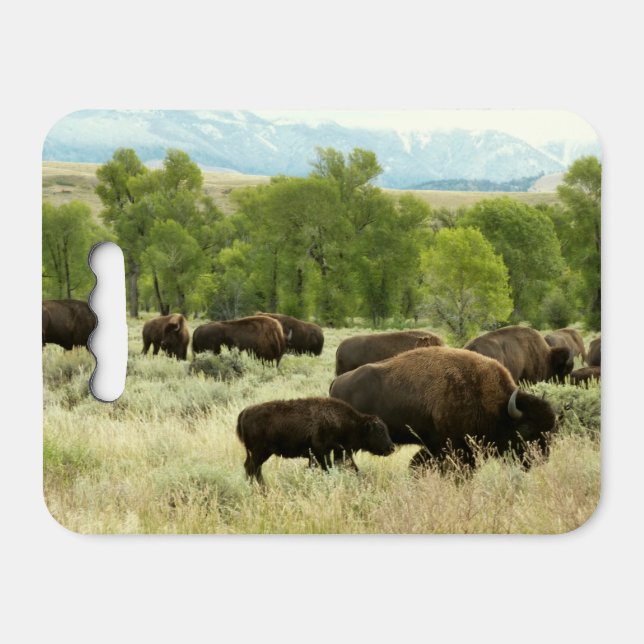 Wyoming Bison Nature Animal Photography Seat Cushion (Front Horizontal)