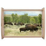 Wyoming Bison Nature Animal Photography Serving Tray