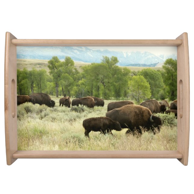 Wyoming Bison Nature Animal Photography Serving Tray (Front)