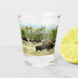 Wyoming Bison Nature Animal Photography Shot Glass