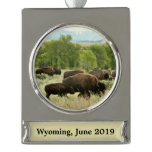 Wyoming Bison Nature Animal Photography Silver Plated Banner Ornament