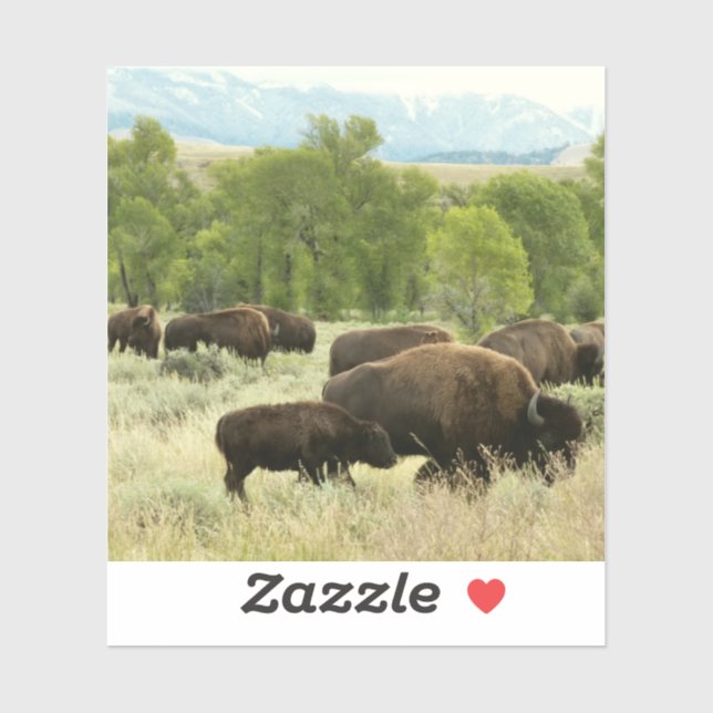 Wyoming Bison Nature Animal Photography Sticker (Sheet)