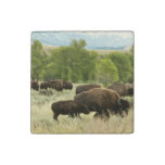 Wyoming Bison Nature Animal Photography Stone Magnet