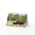 Wyoming Bison Nature Animal Photography Thank You Card