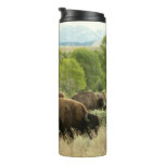 Wyoming Bison Nature Animal Photography Thermal Tumbler