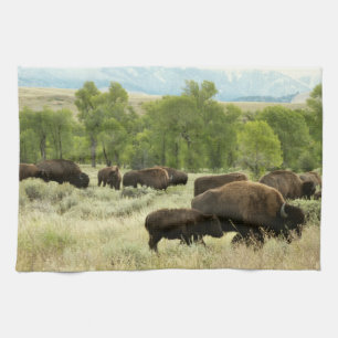 Wyoming Bison Nature Animal Photography Towel