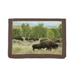 Wyoming Bison Nature Animal Photography Tri-fold Wallet